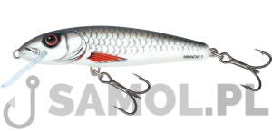 SALMO WOBLER MINNOW D / DAC