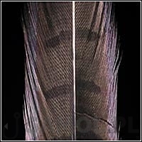 d537309ddcfbd353685e21ad11676a4de4a75595