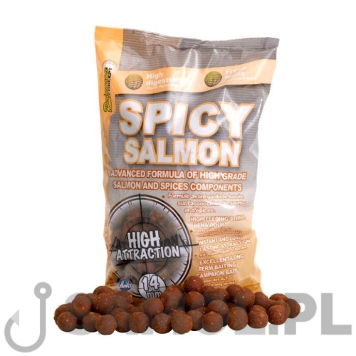 SPICY SALMO.jpg