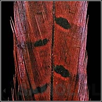 b0dc8c90295186d5e0360e5eab5770fbc66e39be