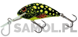 Wobler Salmo Hornet BE