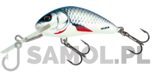 Wobler Salmo Hornet D / DAC