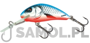 Wobler Salmo Hornet DB
