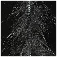 f0c22697b37761c898319b55a17dcfa33596dd9c