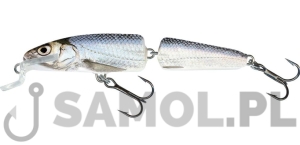 WOBLER SALMO FANATIC 7F RBL