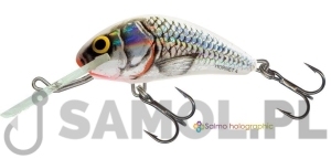 Wobler Salmo Hornet SWS