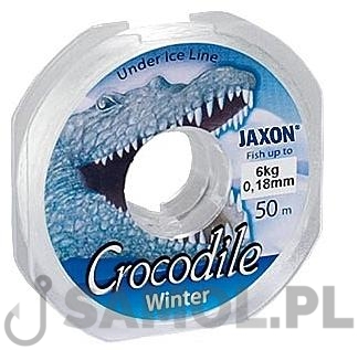 crocodile winter.JPG